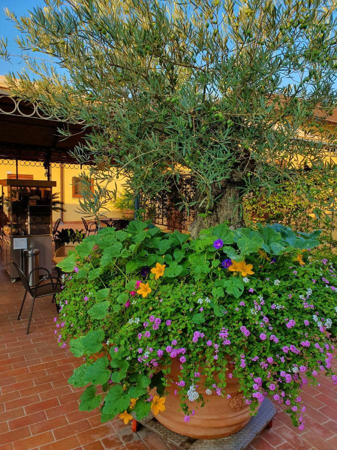 "La Terrazza Di Castiglione" Appartamenti Vacanza カスティリオーネ・デッラ・ペスカーイア エクステリア 写真